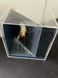 Tintin - Diorama Moulinsart 43200 - Tintin découvre Haddock - (2009)